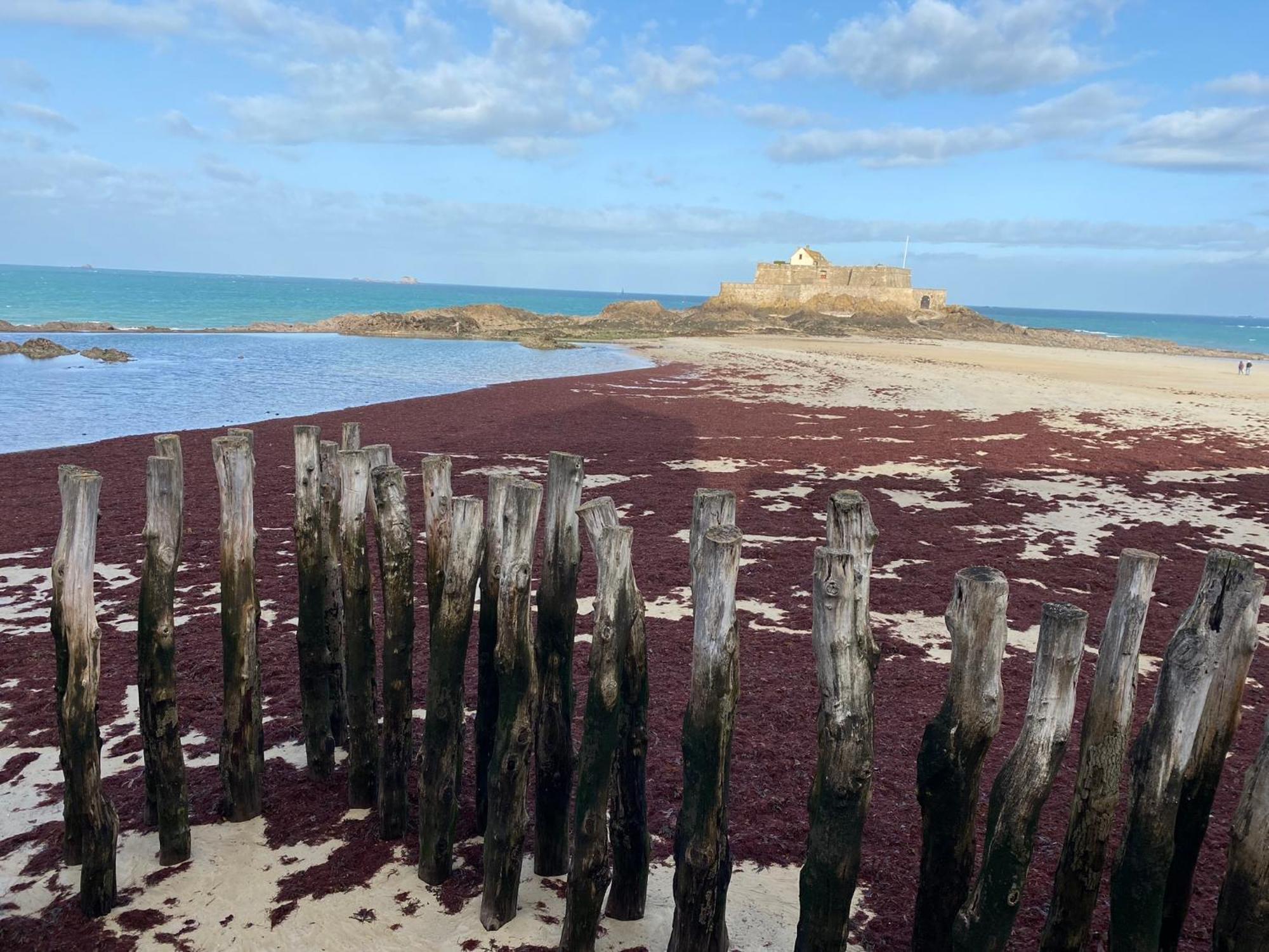 Maison Baie Du Mont Saint-Michel Cherrueix エクステリア 写真